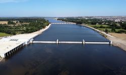 Meriç Nehri'ne acil müdahale: Çeltik tarlaları susuzlukla karşı karşıya