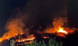 Tokat'ta örtü yangını hızla söndürüldü