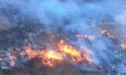 Gaziantep'te orman yangını | 2 dönüm meşelik alan kül oldu