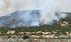 Kahramanmaraş'taki anız yangını makilik alana sıçradı
