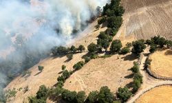 Balıkesir'de korkutan yangın | Ormanlık alana sıçradı!