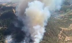 Sondakika | İzmir Ödemiş'te orman yangını