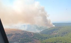 İzmir Menderes'te orman yangını kontrol altına alındı