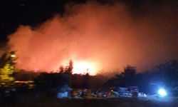 SONDAKİKA | Balıkesir'in Ayvalık ilçesinde orman yangını