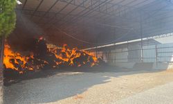 Manisa'da çıkan yangında 2 bin balya saman küle döndü