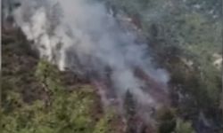 Adana'da orman yangını | Havadan ve karadan müdahale ediliyor