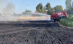 Amasya'da çıkan yangında 10 dönüm buğday ekili alan zarar gördü