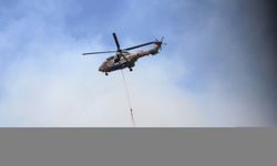 GÜNCELLEME 2 - İzmir Bornova'da çıkan orman yangınına müdahale ediliyor