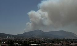 GÜNCELLEME - İzmir Bornova'da çıkan orman yangınına müdahale ediliyor