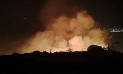 GÜNCELLEME - Manisa'da makilik ve tarımsal alanda çıkan yangın kontrol altına alındı