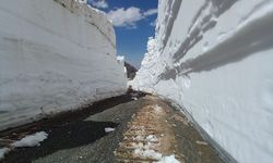Hakkari'de kardan kapanan üs bölgesinin yolunda çalışmalar sürüyor