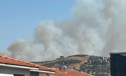 İzmir'in Foça ilçesinde orman yangını çıktı