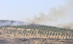 Kahramanmaraş'ta çıkan orman yangını kontrol altına alındı