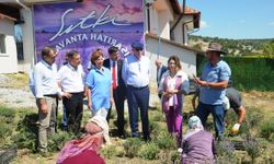 Kütahyalı çini sanatçısının lavanta bahçesinde hasat başladı