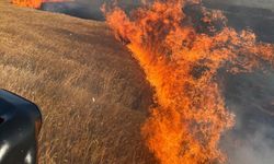 Yozgat'ta çıkan yangında 1000 dekar buğday tarlası yandı
