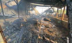 İzmit'te ahır yangınında 13 hayvan öldü, bir kişi yaralandı