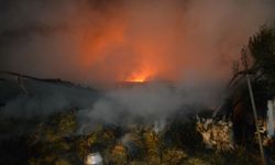 Balıkesir'de çiftlik yangını hızla söndürüldü