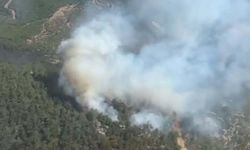 İzmir Bergama'daki orman yangını hala devam ediyor