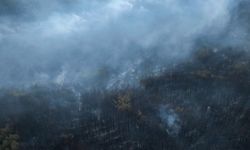 Bergama'da çıkan yangına müdahale sürüyor