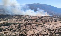 Aydın'da orman yangını | Müdahale ediliyor