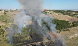 Çorum'da Deprem Şehitleri Hatıra Ormanı'nda yangın paniği