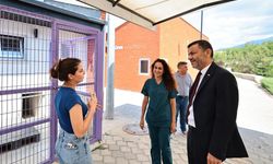 Denizli'de sokak hayvanları için yeni bir dönem: Başkan Çavuşoğlu'ndan örnek ziyaret