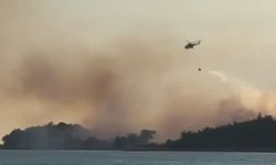 Edirne'deki anız yangını orman yangınına dönüştü