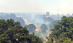 Türkiye-Bulgaristan sınırındaki orman yangını felakete dönüşmeden söndürüldü