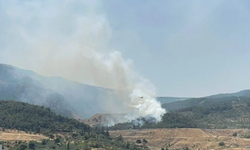 Manisa'daki orman yangını kontrol altında