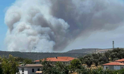 GÜNCELLEME | Çeşme'deki yangında aynı aileden 2 can yitirildi