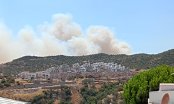 SONDAKİKA: İzmir Dikili'de orman yangını!
