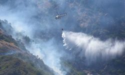 VİDEO HABER | Dikili'deki yangın büyüyor!