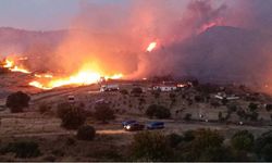 Foça'da yangın kontrol altına alındı, tedirginlik sürüyor
