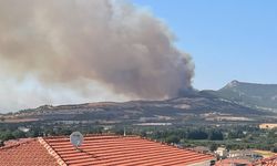 Foça'da ormanlık alanda çıkan yangın hayvan çiftliğine yaklaşıyor
