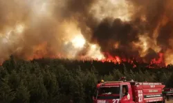 Balıkesir'de orman yangını! Müdahale sürüyor
