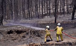 İzmir’in ateş savaşçıları orman yangınlarına karşı nöbette