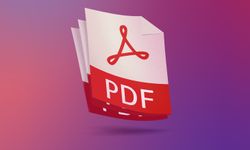 PDF dönüştürücü kullanırken iki kere düşünün! Binlerce veri sızdırıldı