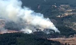 Manisa'da orman yangını, müdahale sürüyor