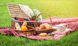 Piknik sezonu açıldı: Atıksız piknik mümkün mü?