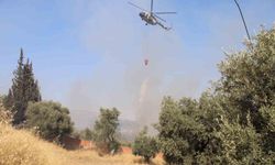 Aydın'da büyüyen yangın ekipleri zor durumda bıraktı