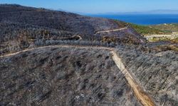 Büyük Menderes Deltası Millî Parkı yangın tehlikesi altında
