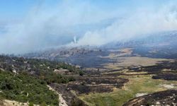 Soma'daki orman yangınında tehlike! Mahalle tahliye edildi