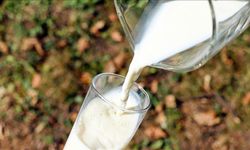 Çiğ sütün maliyeti ile satış fiyatı arasındaki fark büyüyor