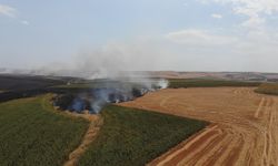 Tekirdağ'daki anız yangını tarlalara sıçradı