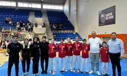 Bayraklı'nın tekvandocuları 11 madalya ile İzmir şampiyonu