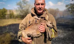 Ukrayna'da vahim durum! 343 yangın çıktı