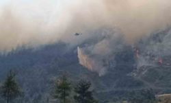 İzmir Valisi Elban | "Bornova'daki yangında 7 evimiz hasar aldı"