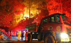 Kahramanmaraş’taki orman yangınına gece müdahalesi