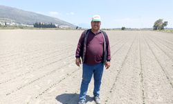 Söke Ovası’nda susuzluk krizi: Çiftçiler isyanda