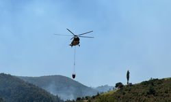 Uşak'taki orman yangınına müdahale sürüyor